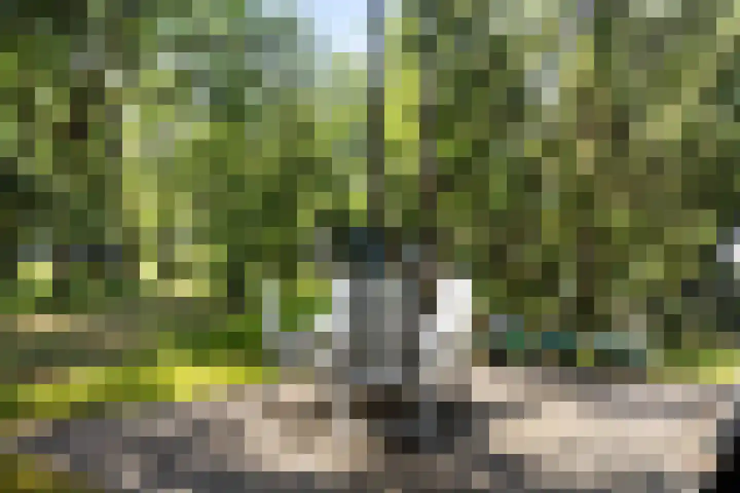 Krimweg 140 A 28 Hoenderloo thumbnail 20