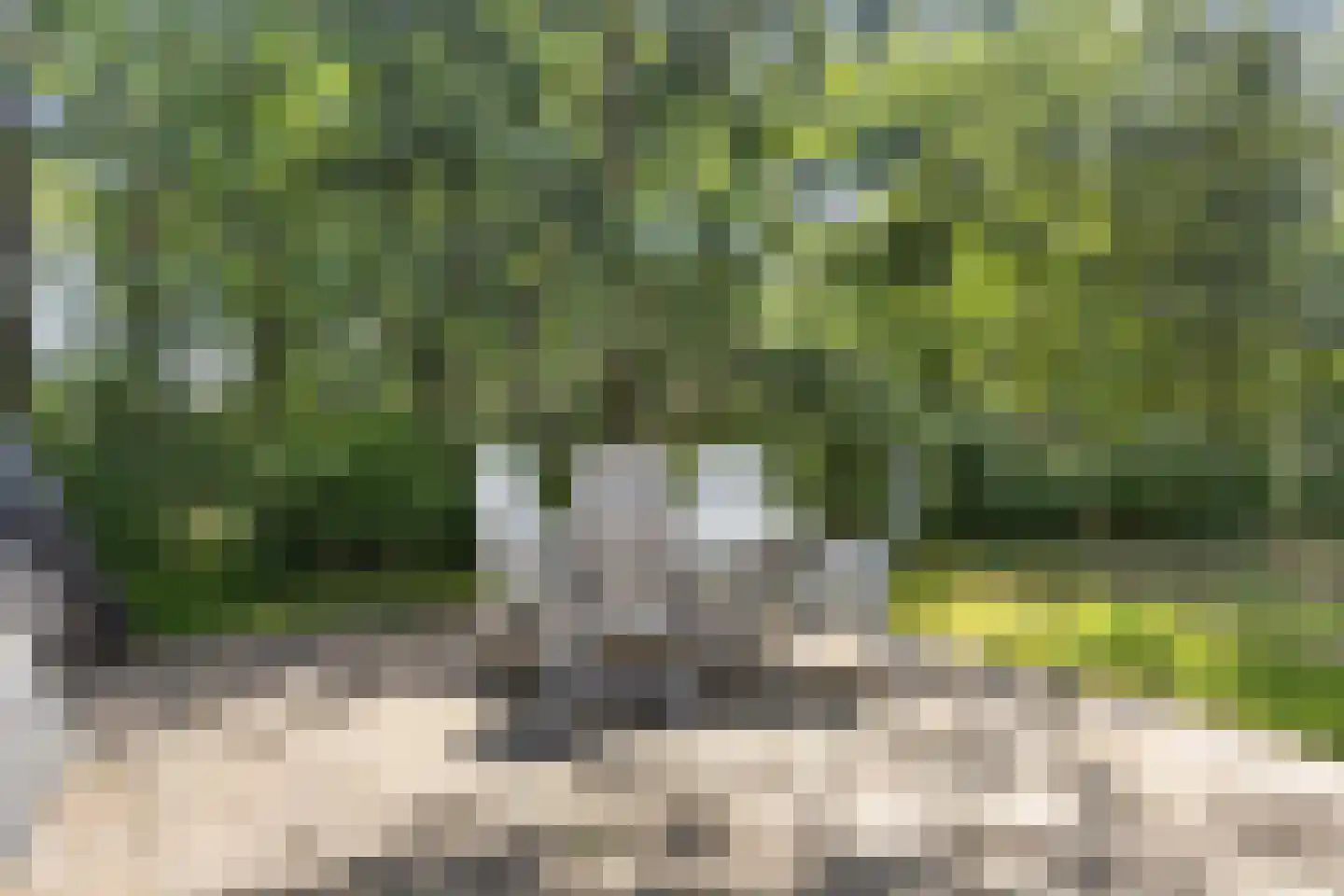Krimweg 140 A 28 Hoenderloo thumbnail 21