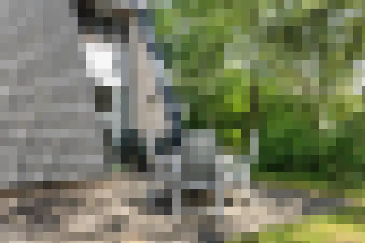 Krimweg 140 A 28 Hoenderloo thumbnail 22