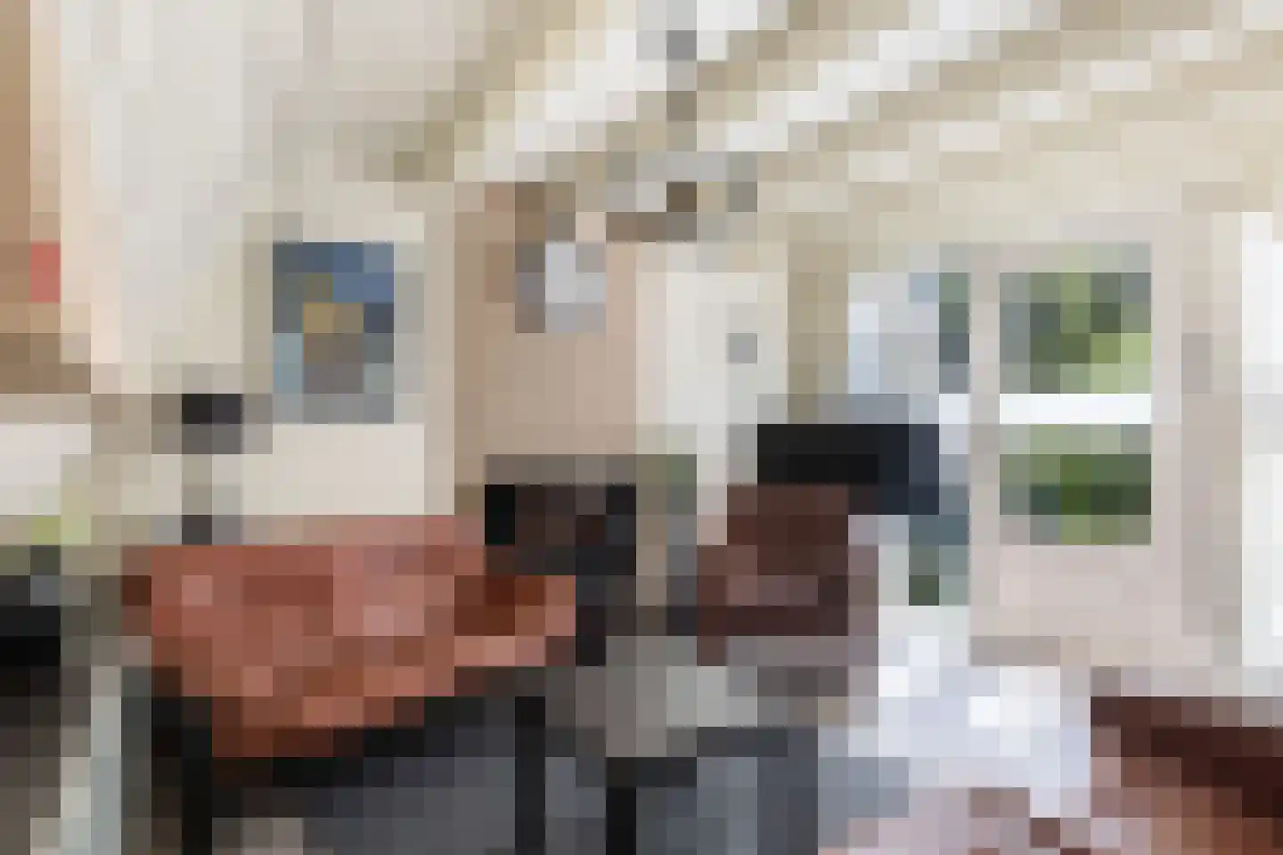 Krimweg 140 A 28 Hoenderloo thumbnail 5
