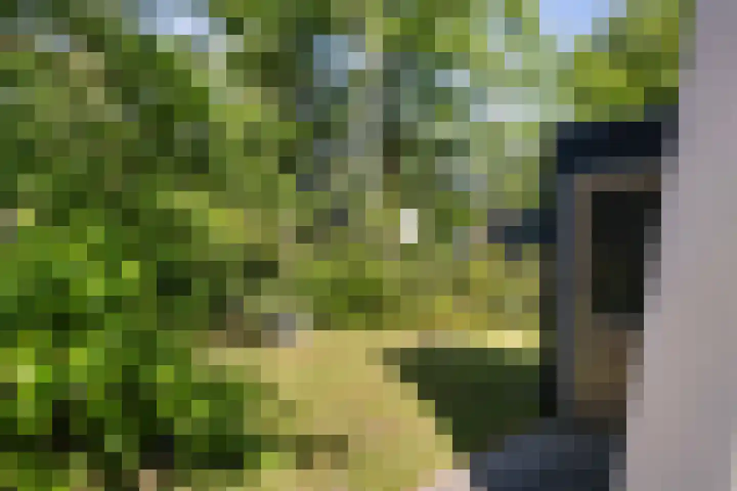 Krimweg 140 A 41 Hoenderloo thumbnail 19