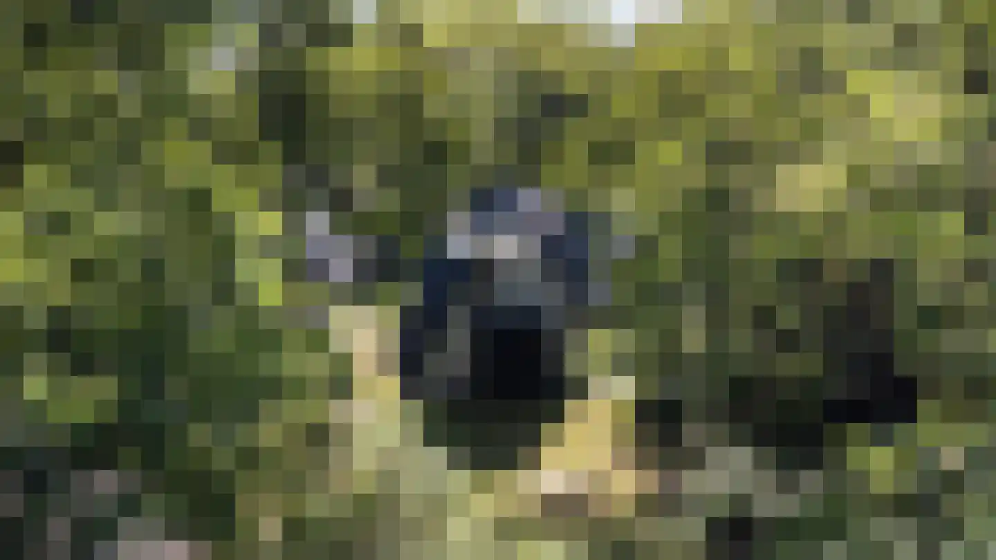 Krimweg 140 A 41 Hoenderloo thumbnail 21
