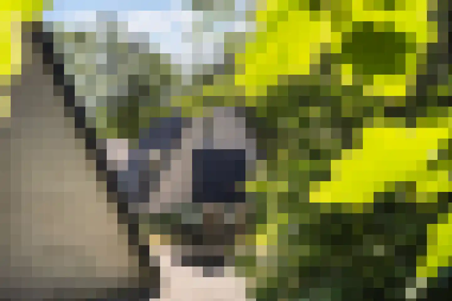 Krimweg 140 A 41 Hoenderloo thumbnail 22