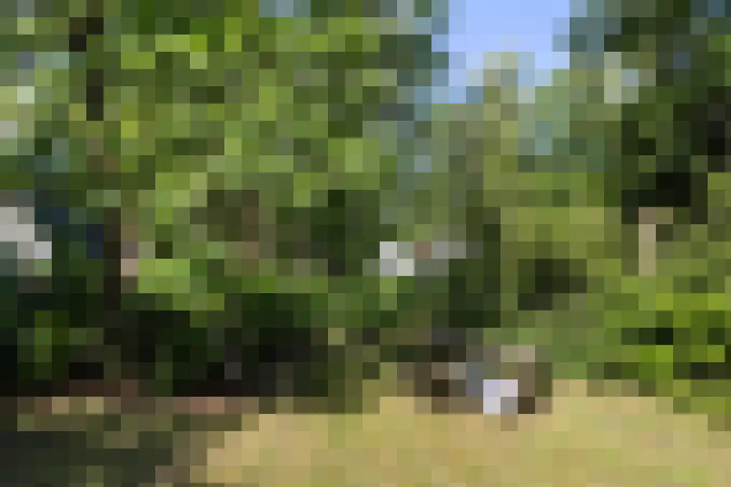Krimweg 140 A 41 Hoenderloo thumbnail 7