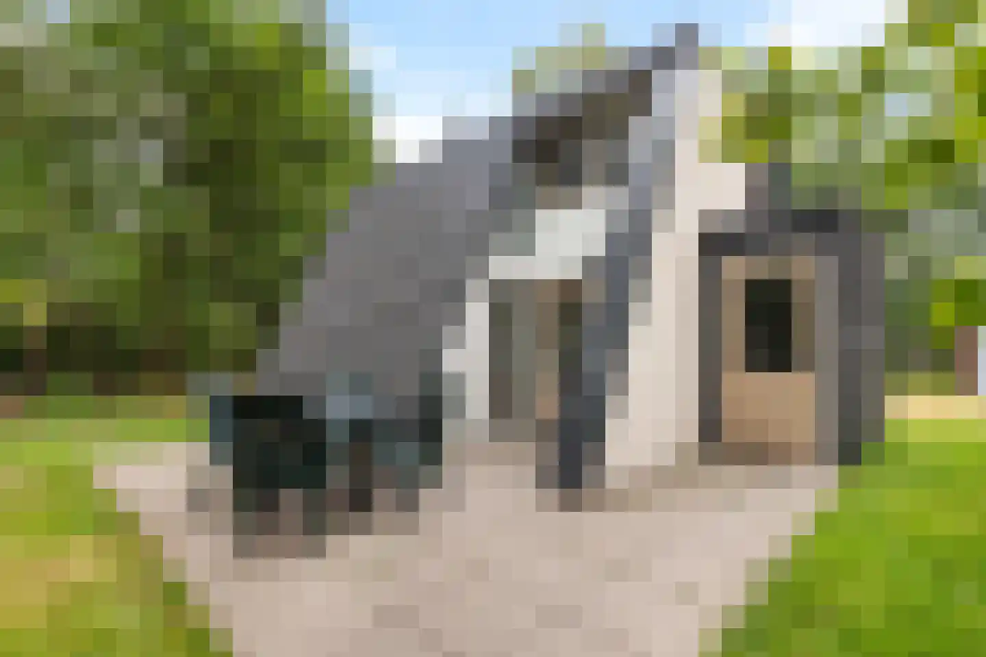 Krimweg 140 A 65 Hoenderloo thumbnail 19