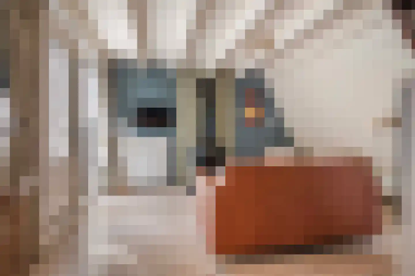 Krimweg 140 A 7 Hoenderloo thumbnail 6