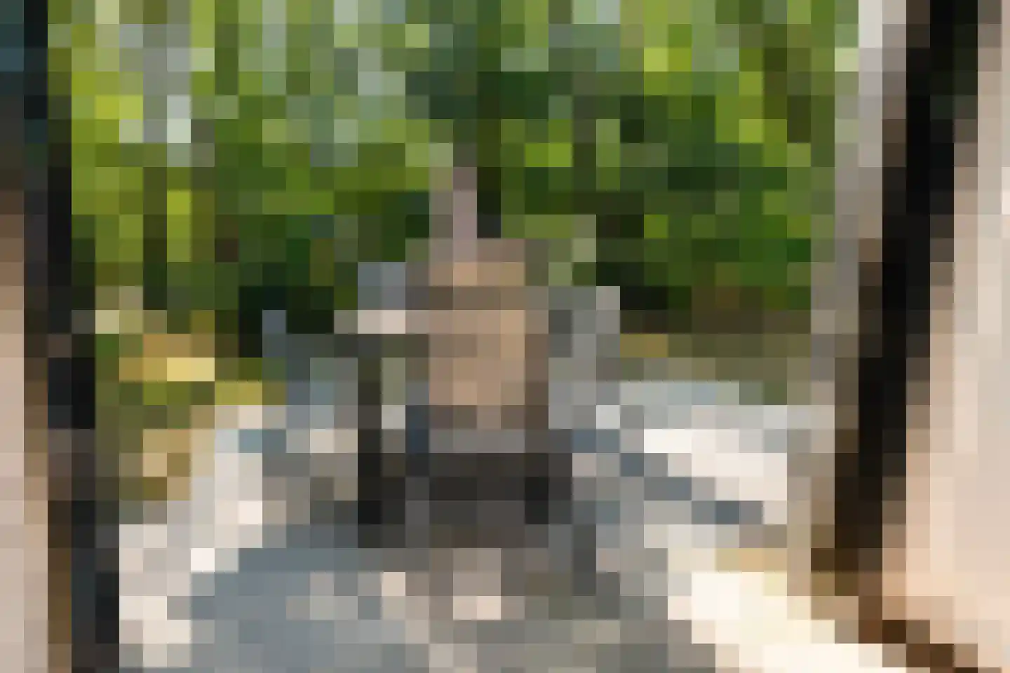 Krimweg 140 A 74 Hoenderloo thumbnail 23