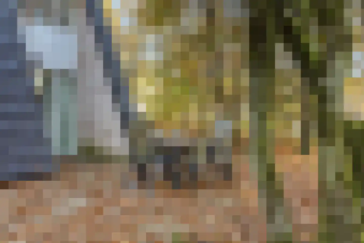 Krimweg 140 A 92 Hoenderloo thumbnail 30
