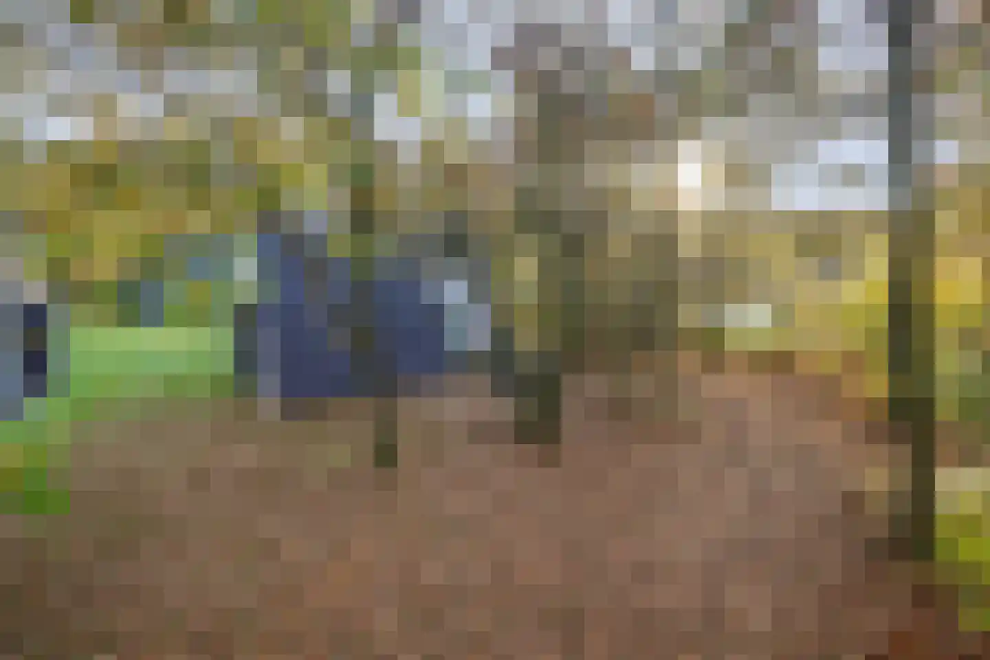 Krimweg 140 A 92 Hoenderloo thumbnail 32