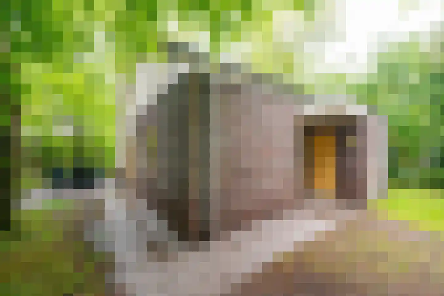 Krimweg 140 B 31 Hoenderloo thumbnail 26