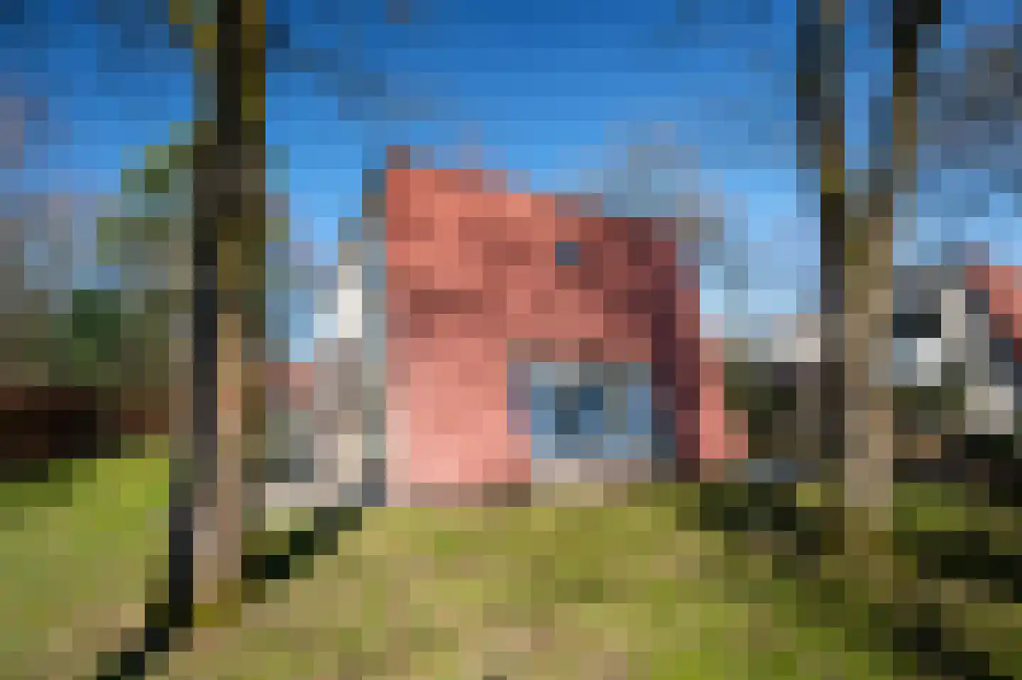 Krimweg 140 B 9 Hoenderloo thumbnail 27