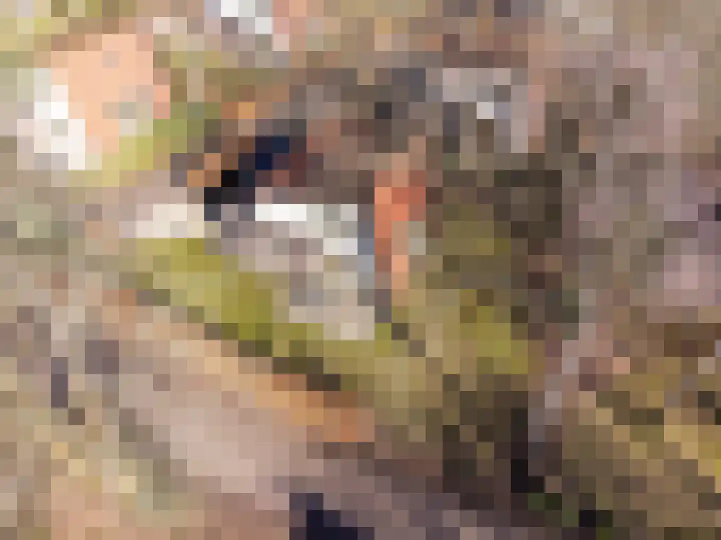 Krimweg 140 B 9 Hoenderloo thumbnail 30