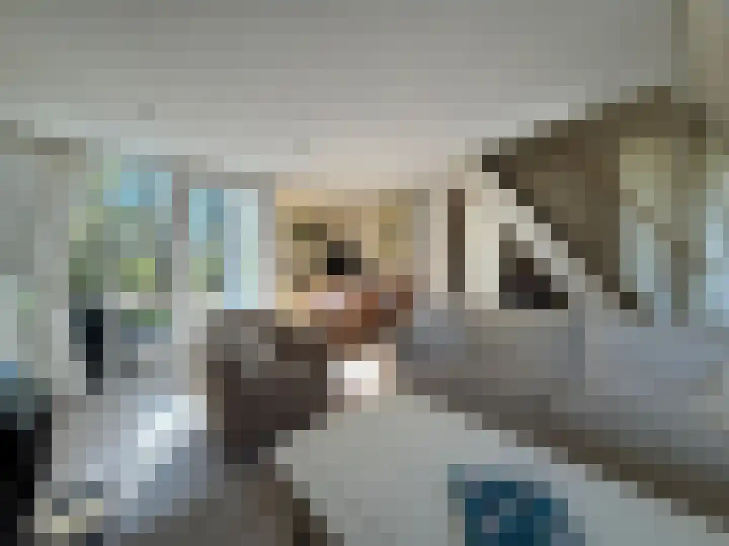 Krimweg 140 C Hoenderloo thumbnail 8