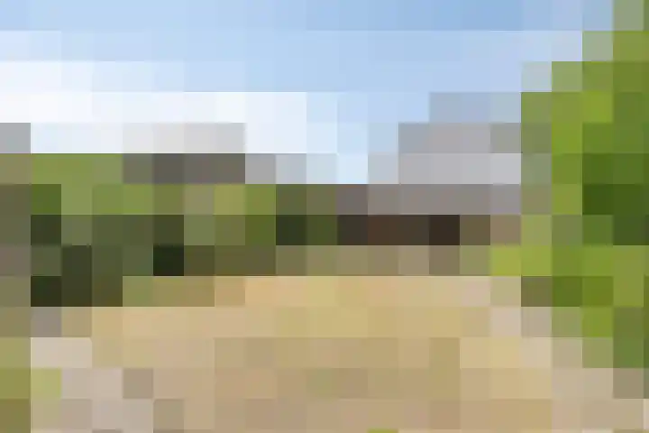 Krimweg 16 A Hoenderloo thumbnail 16