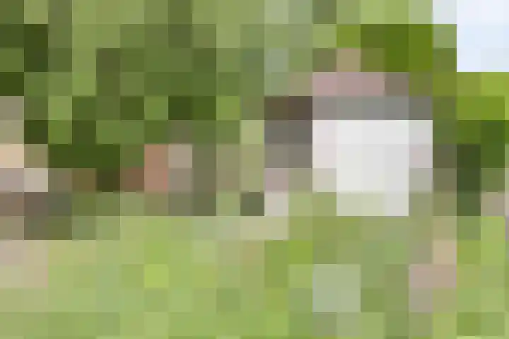 Krimweg 16 A Hoenderloo thumbnail 17