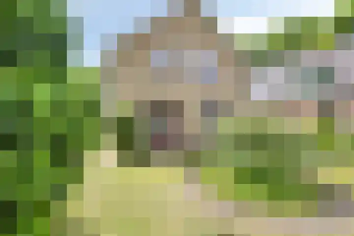 Krimweg 16 A Hoenderloo thumbnail 27