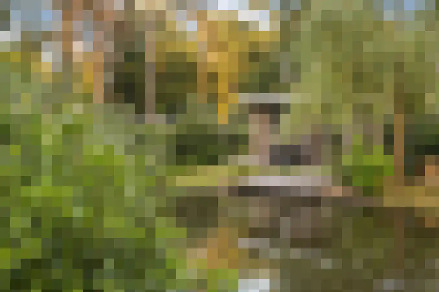 Krimweg 160 118 Hoenderloo thumbnail 20