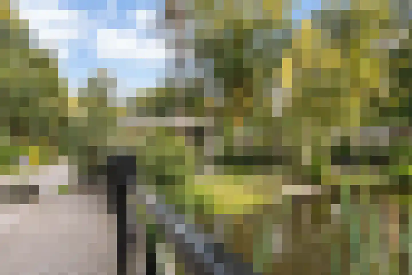 Krimweg 160 118 Hoenderloo thumbnail 21