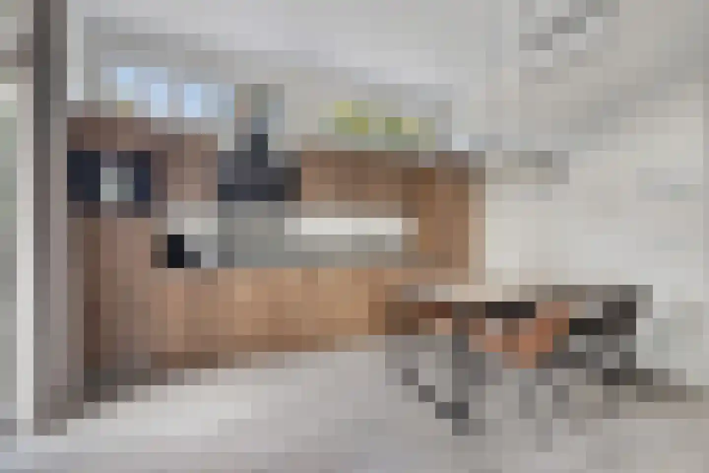 Krimweg 160 118 Hoenderloo thumbnail 9