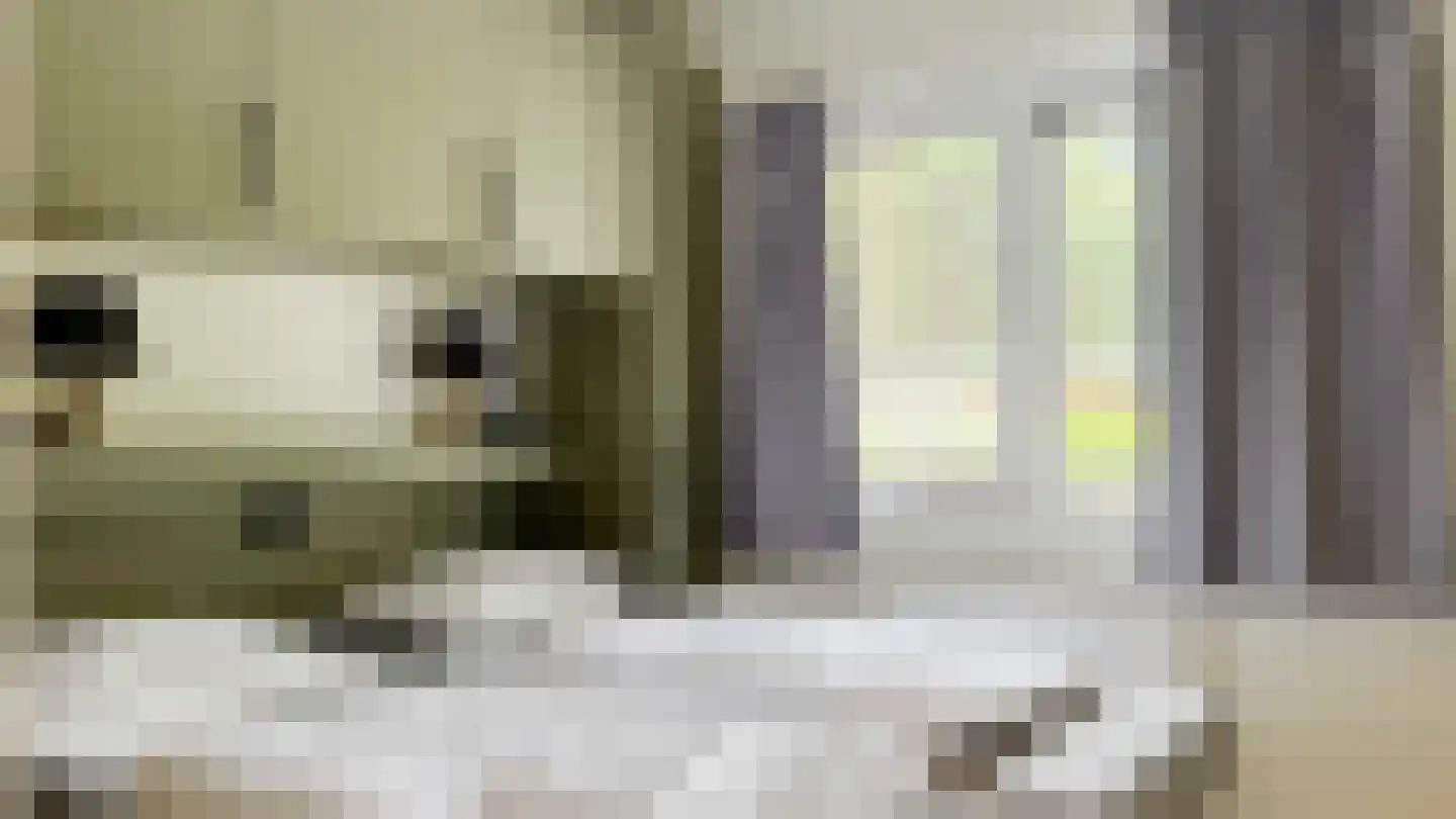 Krimweg 160 125 Hoenderloo thumbnail 19