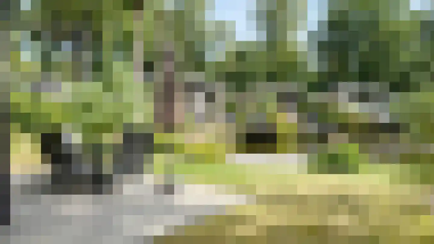 Krimweg 160 125 Hoenderloo thumbnail 5