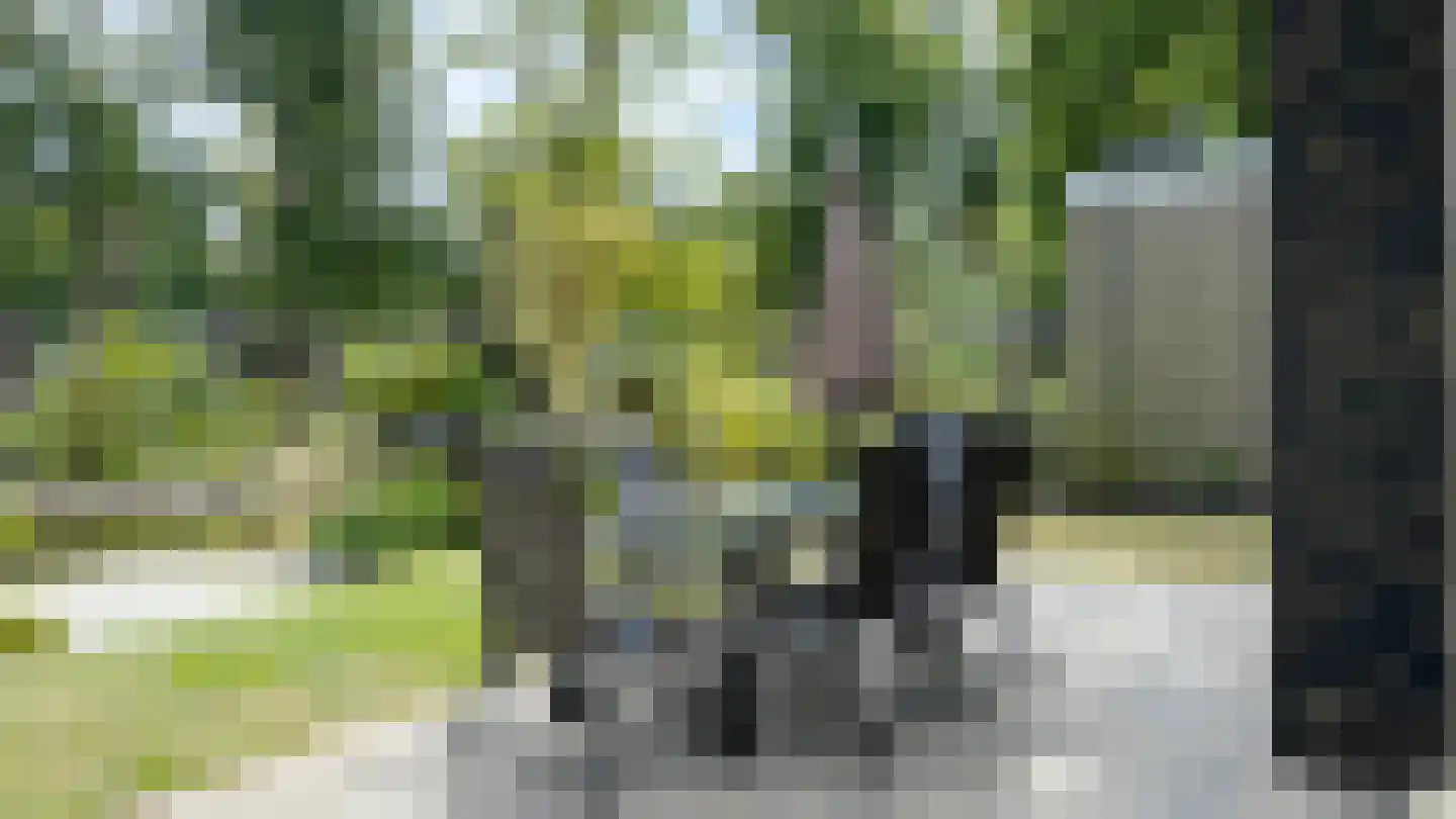 Krimweg 160 125 Hoenderloo thumbnail 6