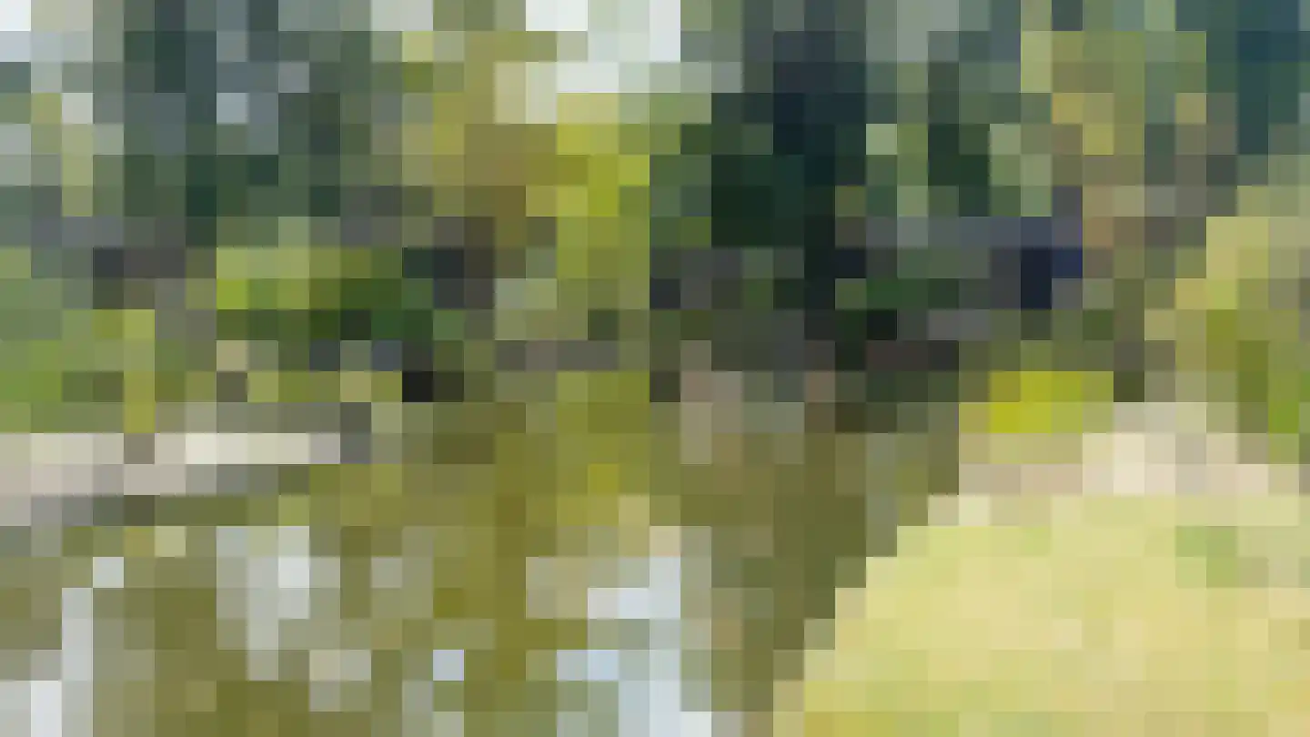 Krimweg 160 125 Hoenderloo thumbnail 7