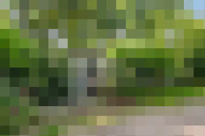 Krimweg 160 145 Hoenderloo thumbnail 17