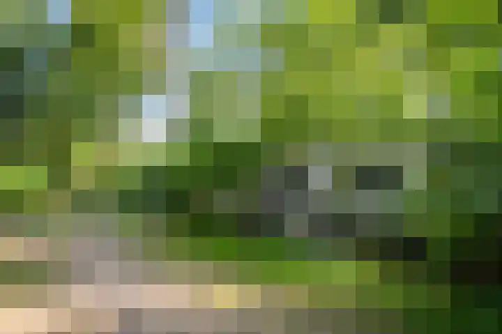 Krimweg 160 145 Hoenderloo thumbnail 18