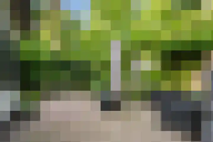 Krimweg 160 145 Hoenderloo thumbnail 21