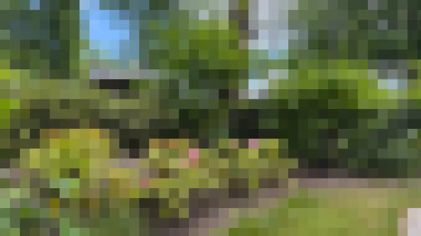 Krimweg 160 170 Hoenderloo thumbnail 9