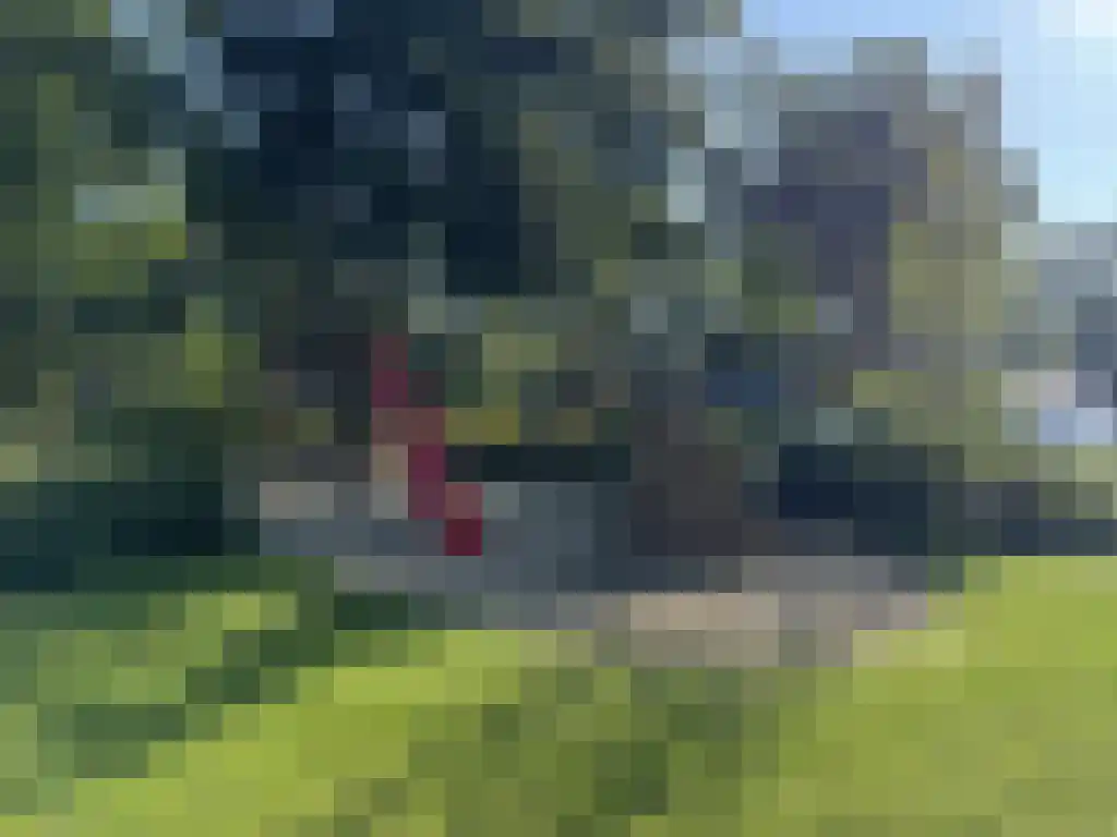Krimweg 160 90 Hoenderloo thumbnail 24