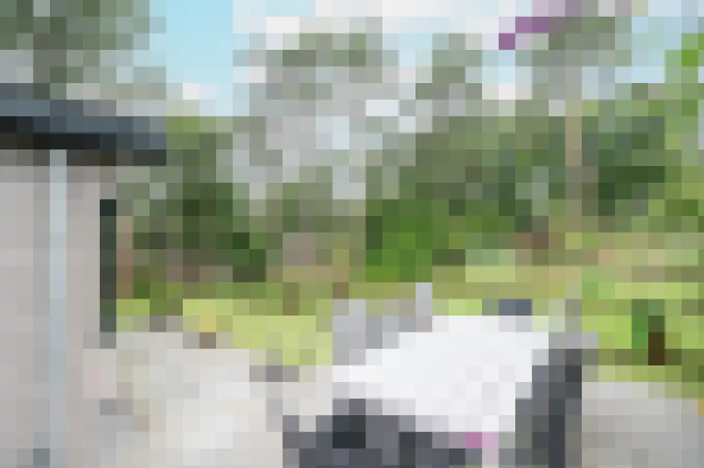 Krimweg 164 470 Hoenderloo thumbnail 23