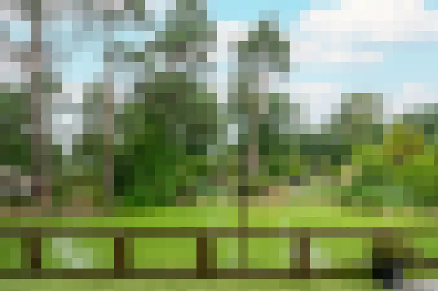 Krimweg 164 470 Hoenderloo thumbnail 24