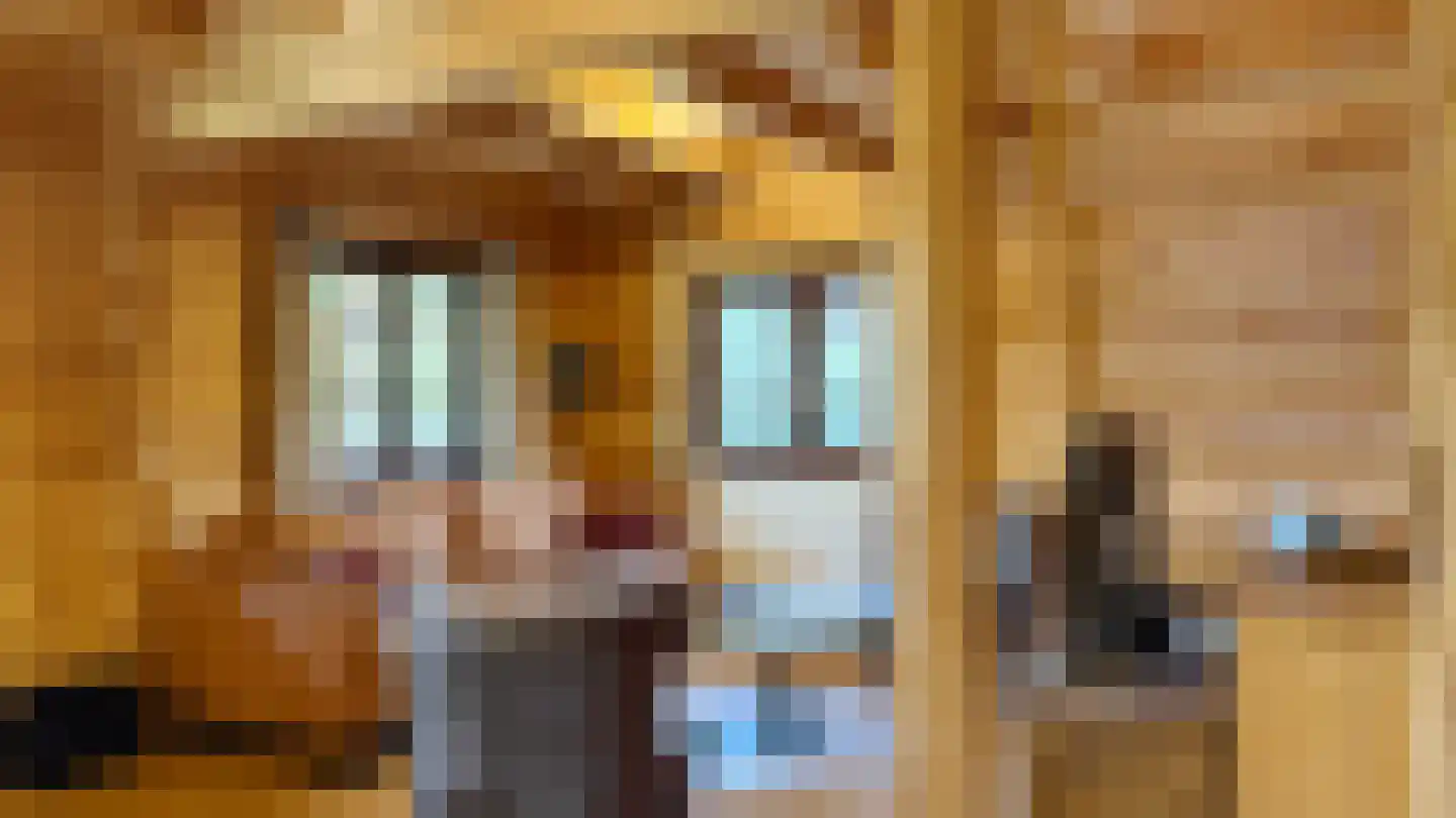 Krimweg 164 482 Hoenderloo thumbnail 13