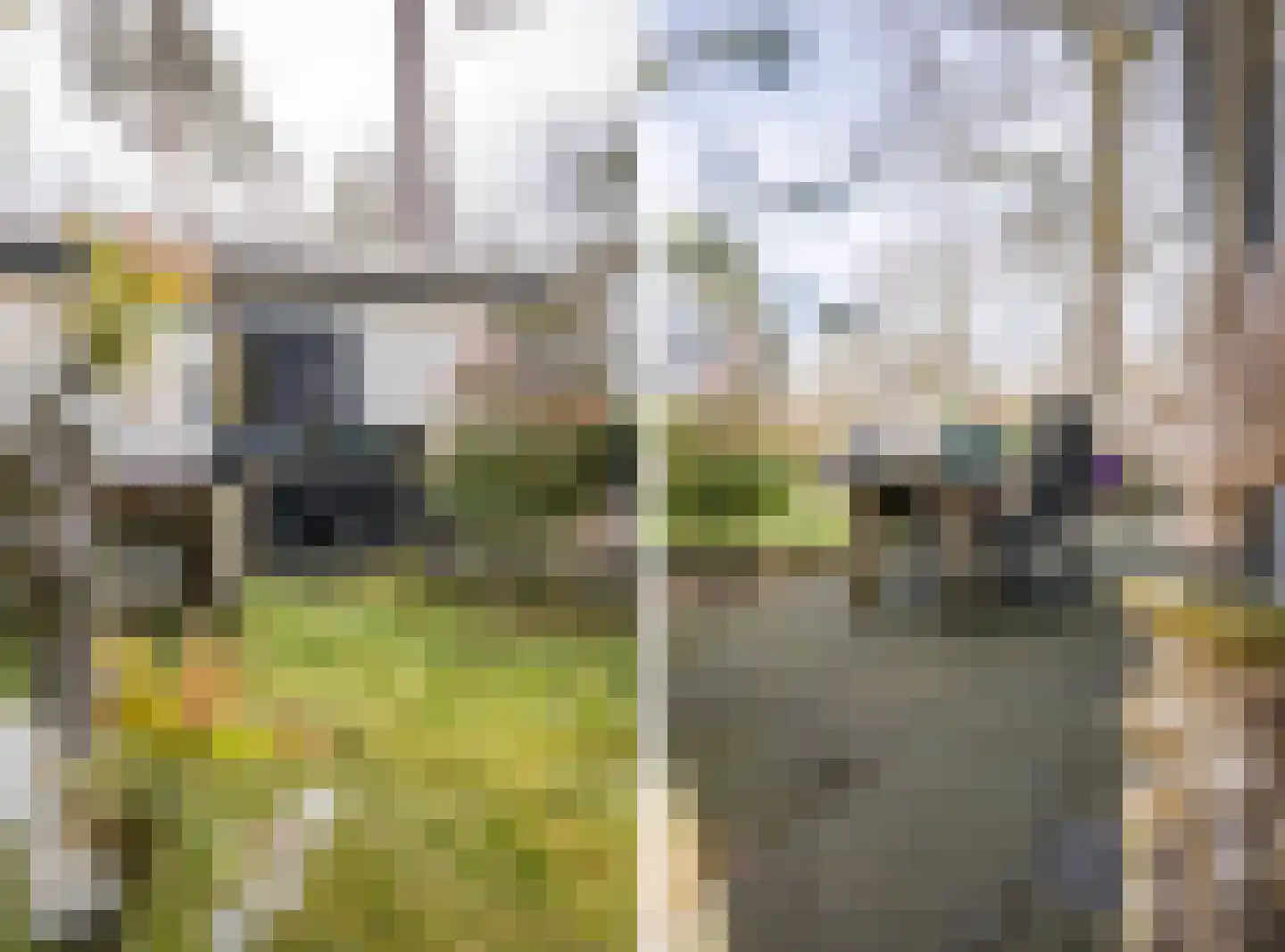 Krimweg 170 219 Hoenderloo thumbnail 4