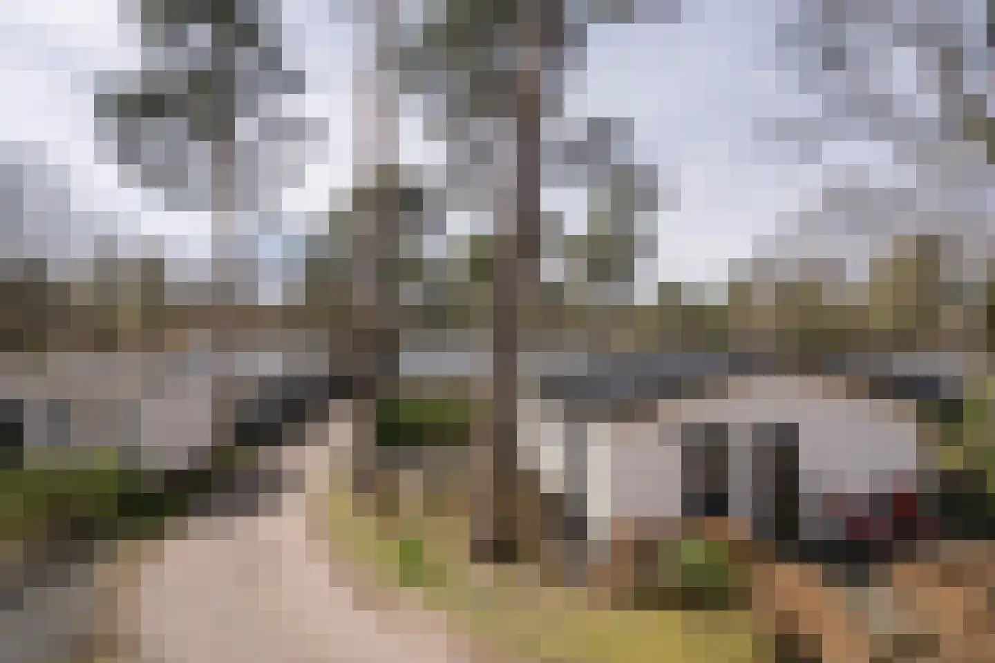 Krimweg 170 219 Hoenderloo thumbnail 43