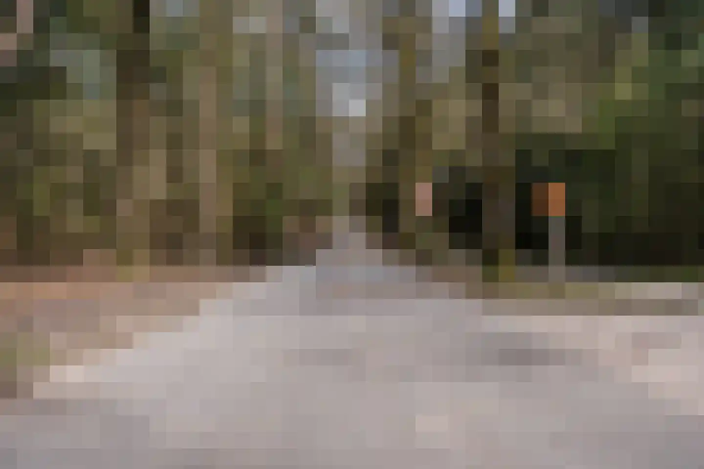 Krimweg 170 219 Hoenderloo thumbnail 47