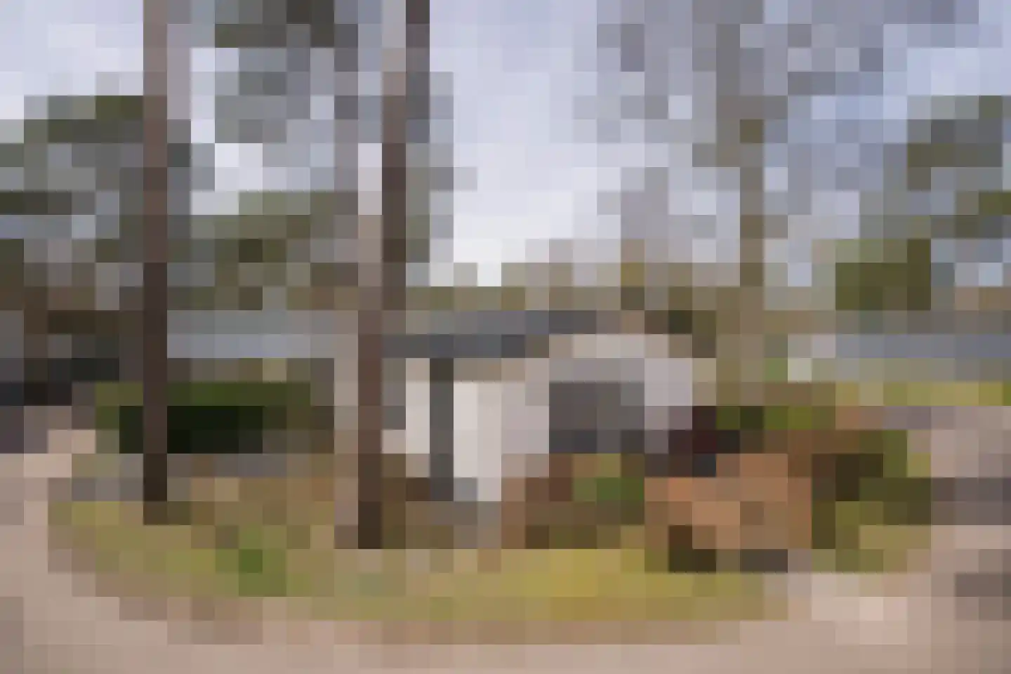 Krimweg 170 219 Hoenderloo thumbnail 6