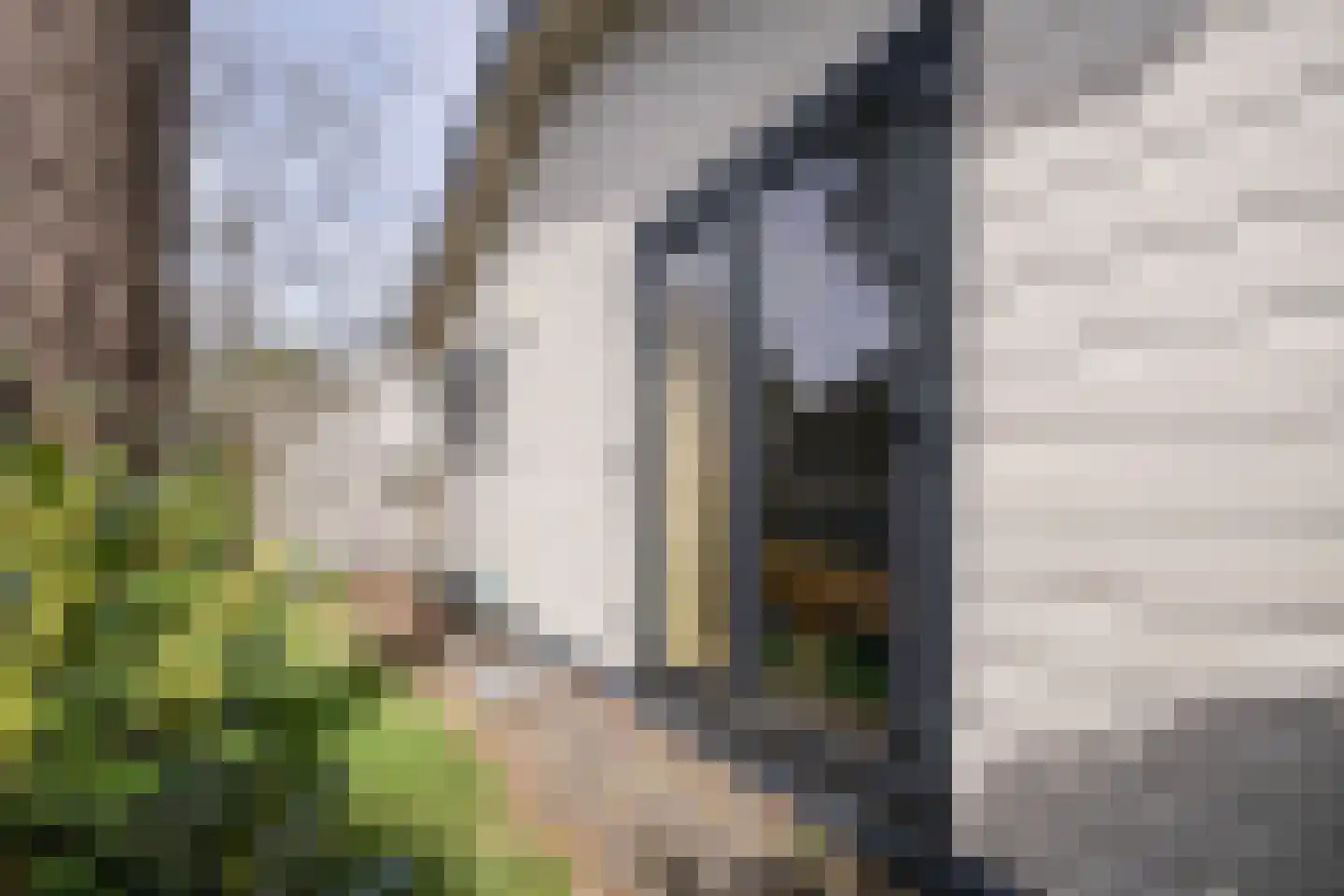 Krimweg 170 219 Hoenderloo thumbnail 8
