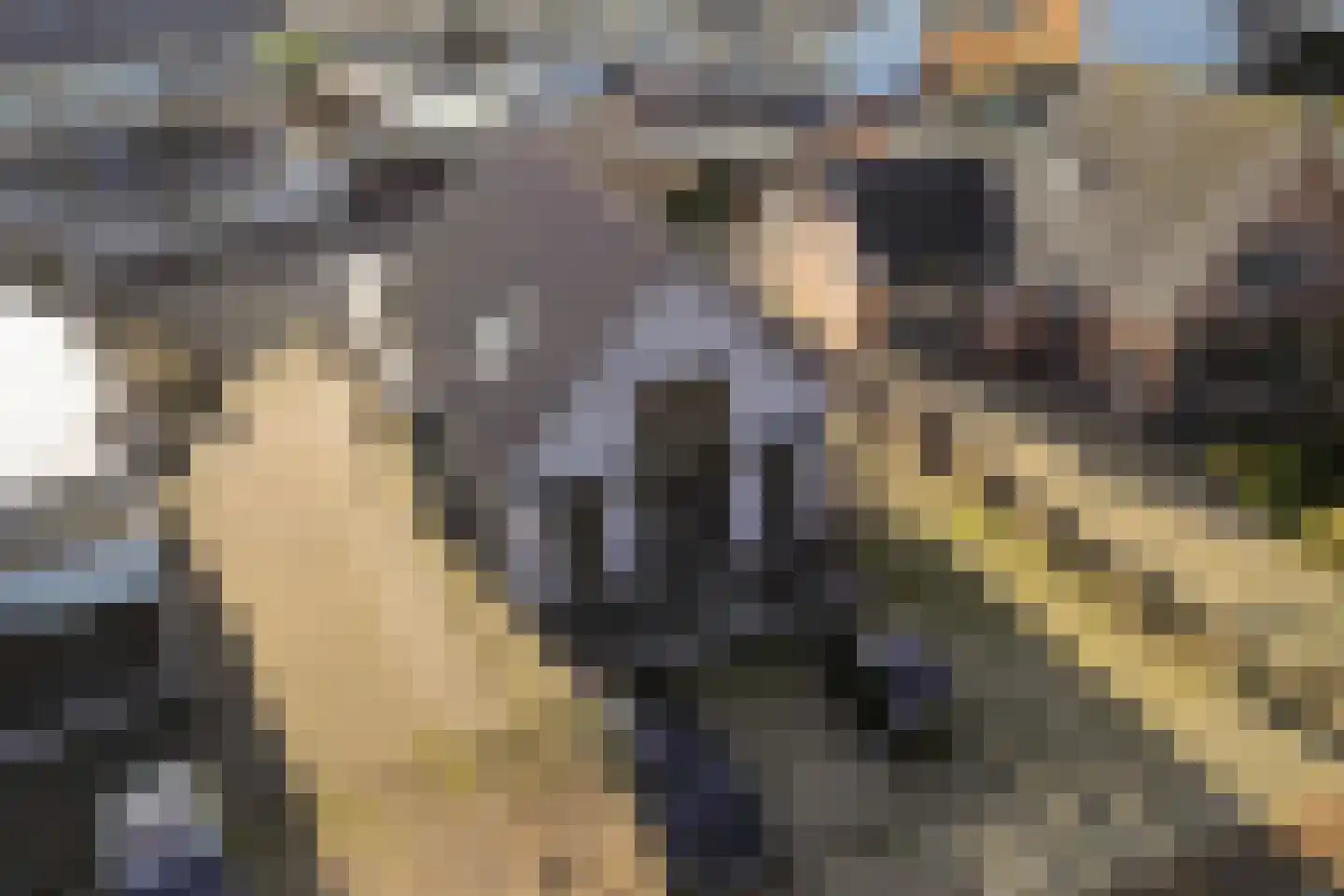 Krimweg 20 Hoenderloo thumbnail 7