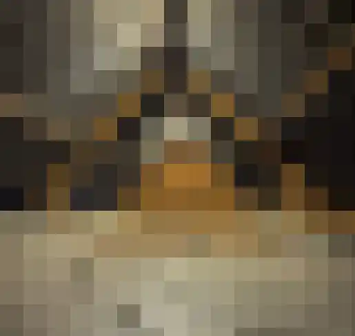 Krimweg 22 Hoenderloo thumbnail 44