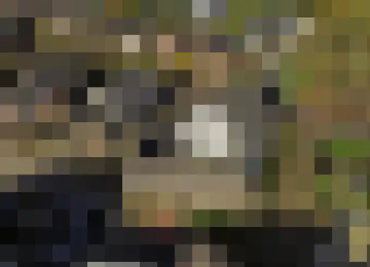 Krimweg 22 Hoenderloo thumbnail 45