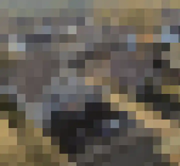 Krimweg 22 Hoenderloo thumbnail 7