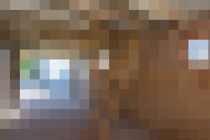 Krimweg 32 Hoenderloo thumbnail 9