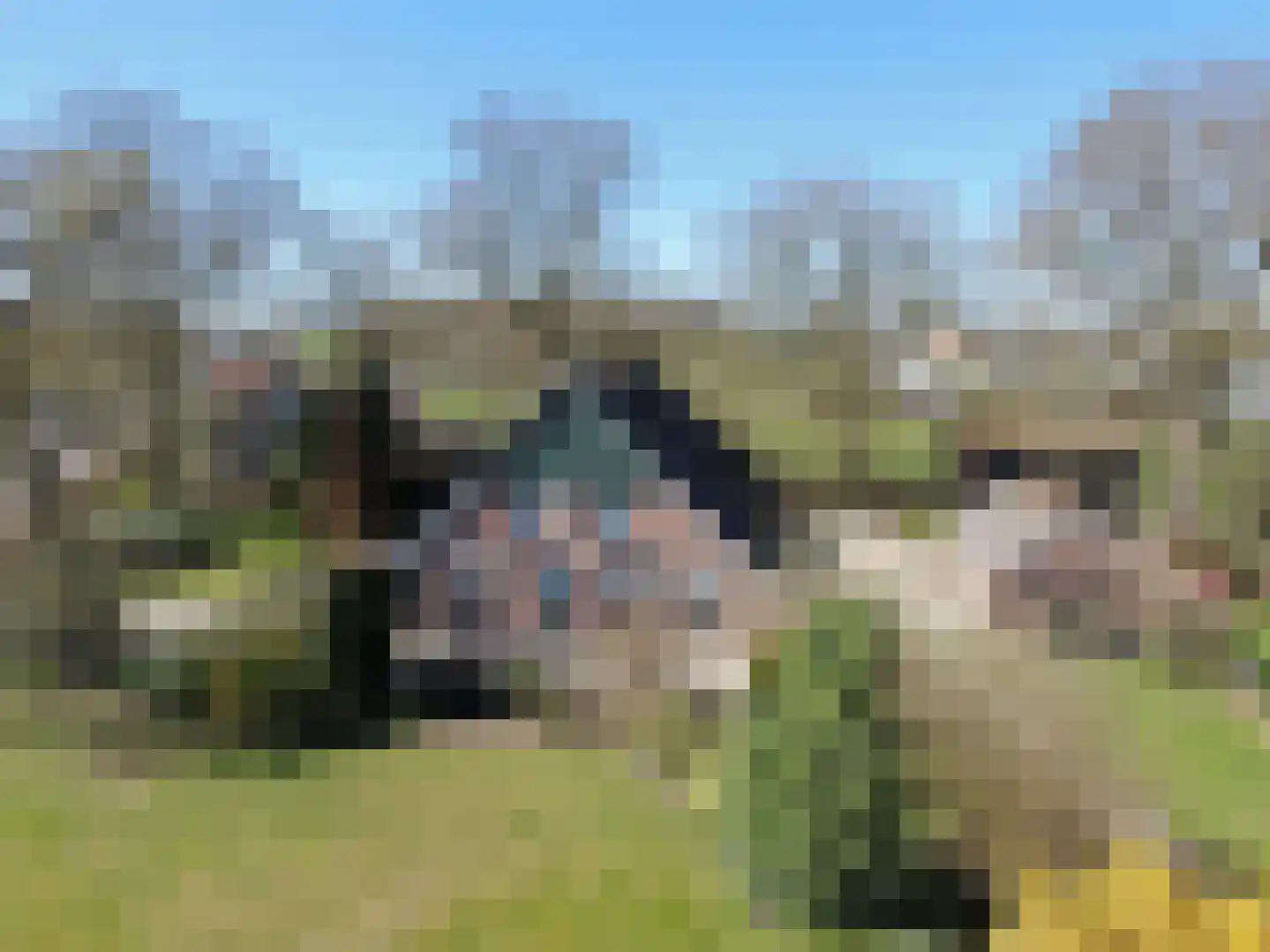 Krimweg 74 in Coevorden