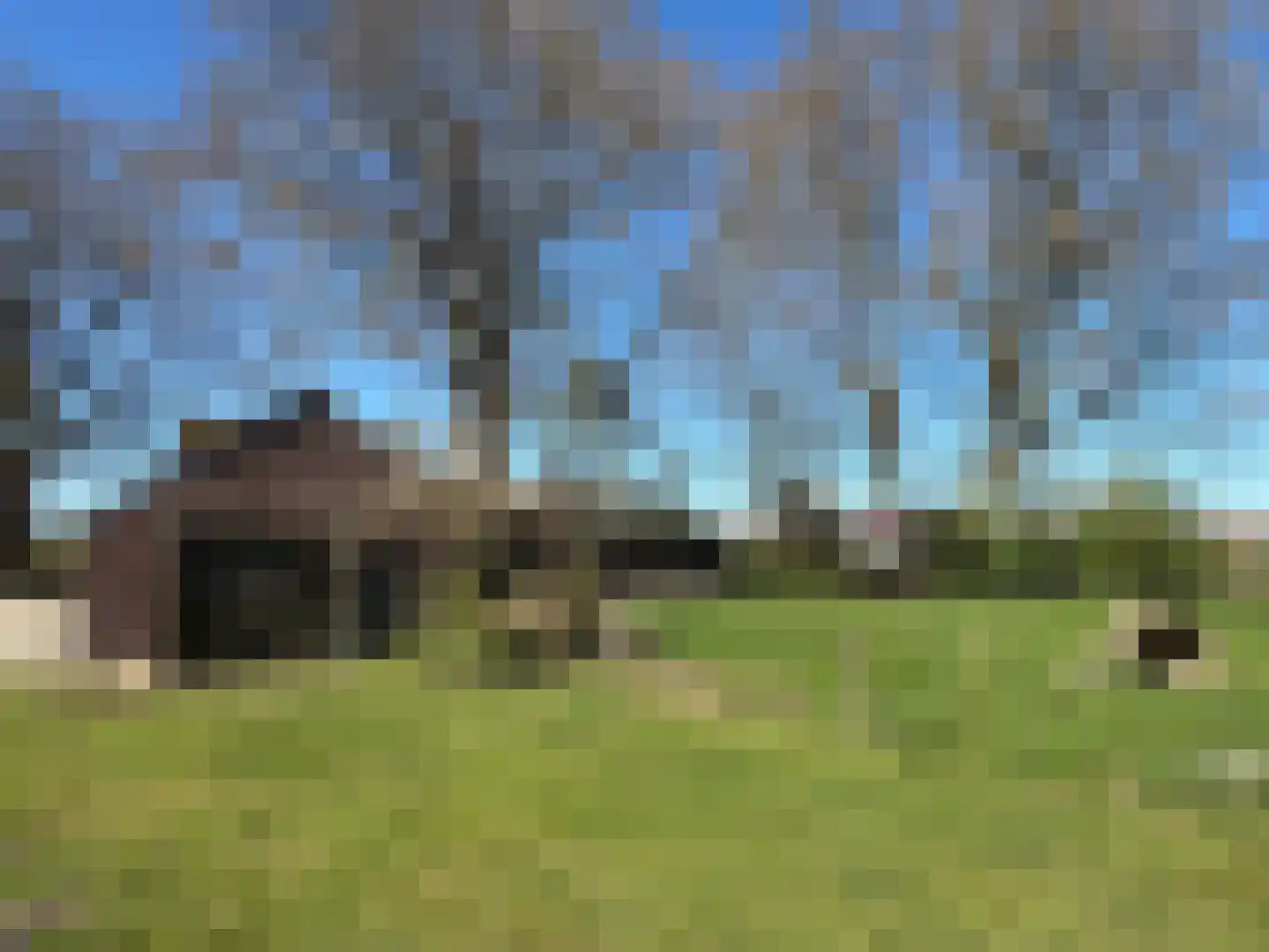 Krimweg 74 Coevorden thumbnail 13