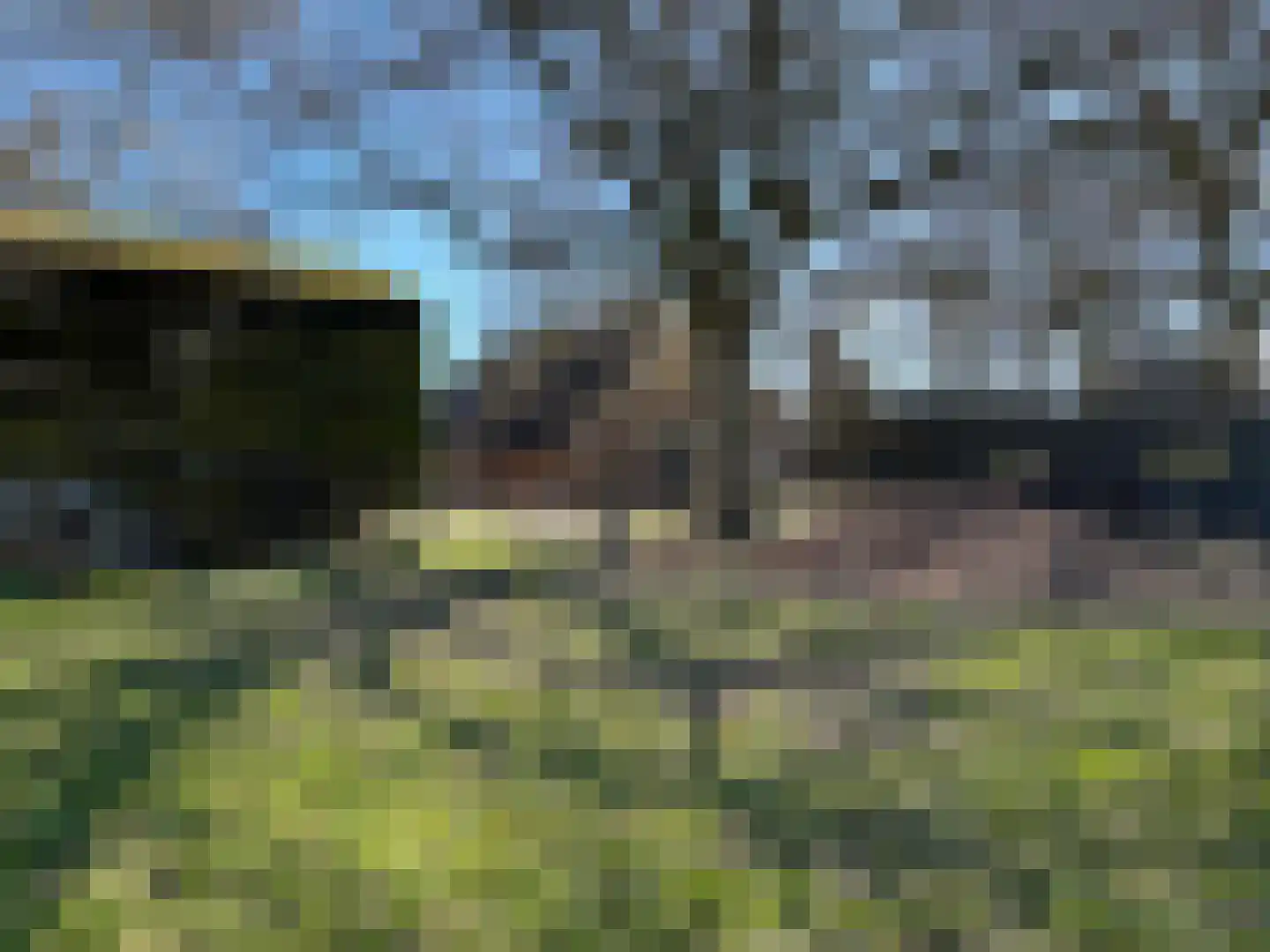 Krimweg 74 Coevorden thumbnail 21