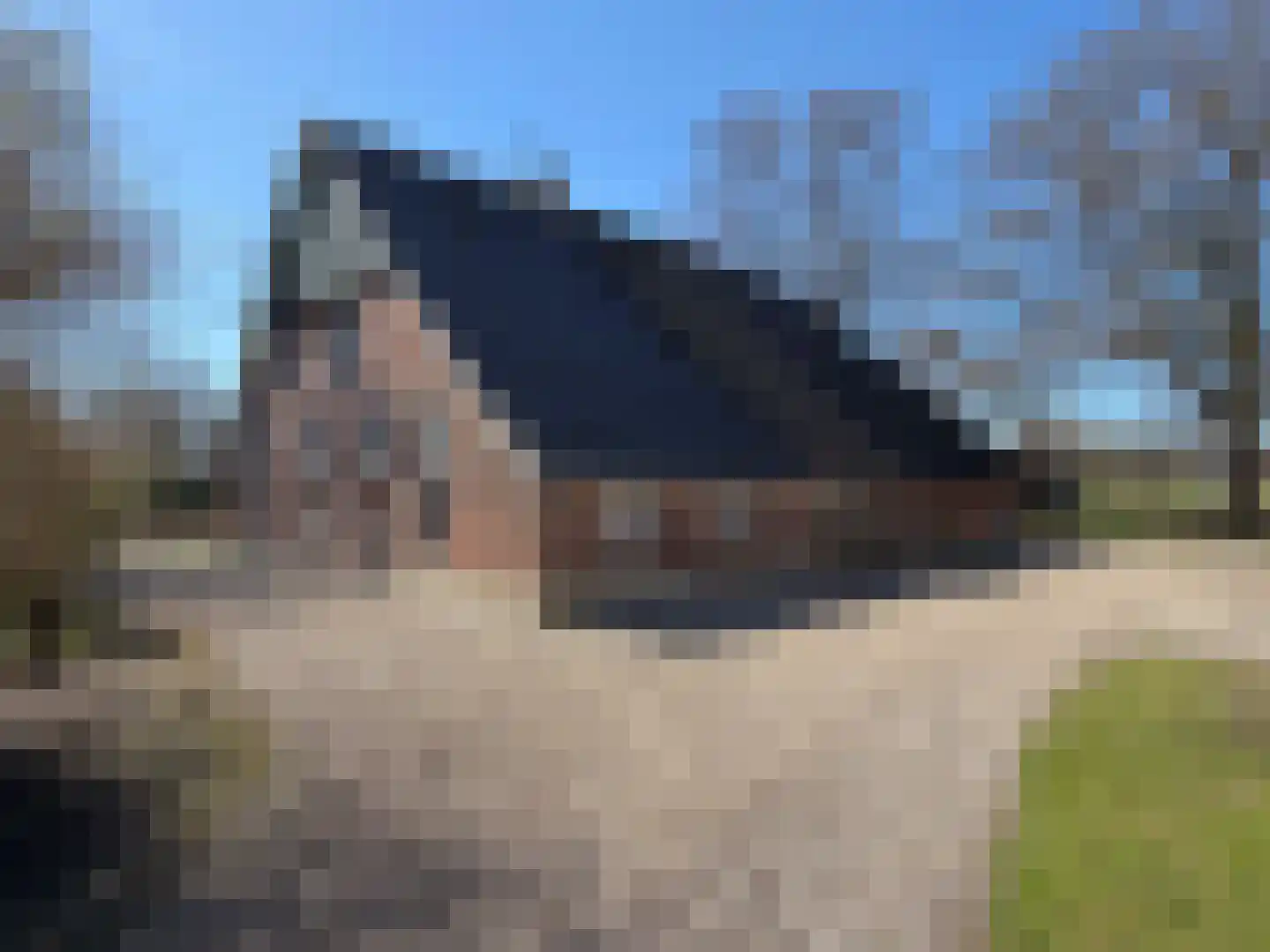Krimweg 74 Coevorden thumbnail 4