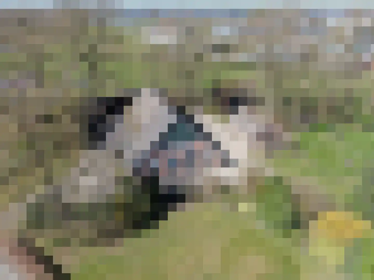 Krimweg 74 Coevorden thumbnail 43